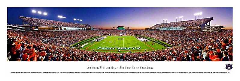 Auburn Tigers at Jordan Hare Stadium Panoramic Poster