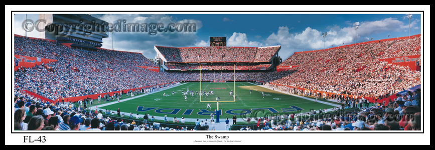 "The Swamp" Florida Gators 13.5" x 39" Panoramic Poster