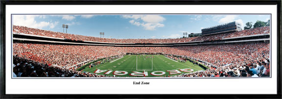 "End Zone" Georgia Bulldogs - 13.5" x 39" Panoramic Poster