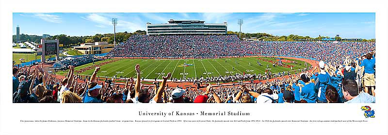 Carolina Panthers Bank of America Stadium Endzone Panoramic