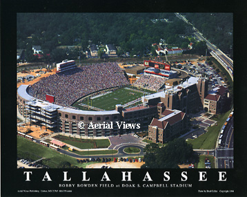 Doak Campbell Stadium Aerial Poster